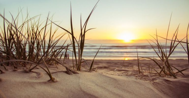 Beach - Green Grass during Sunset