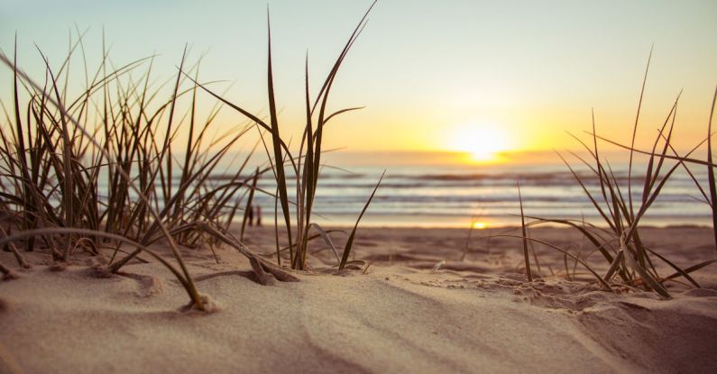 Beach - Green Grass during Sunset