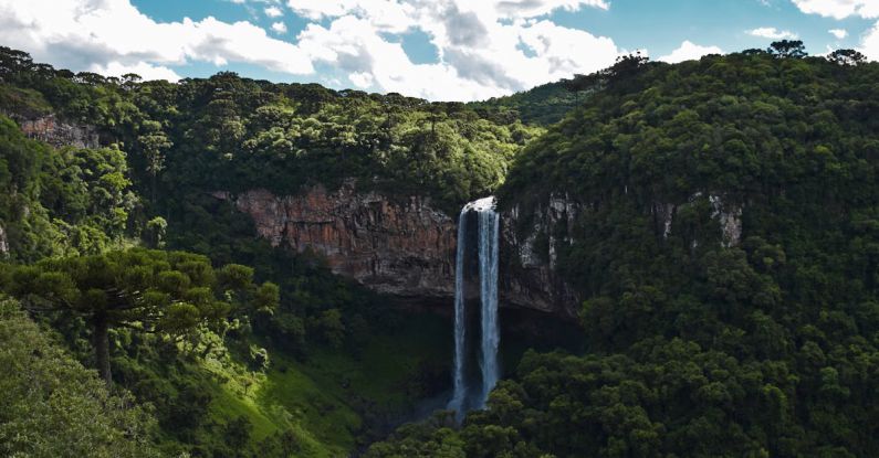 Rainforest - Waterfalls on Cliff