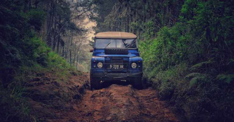 Adventure - Blue Car on Dirt Road Between Green Leaf Trees