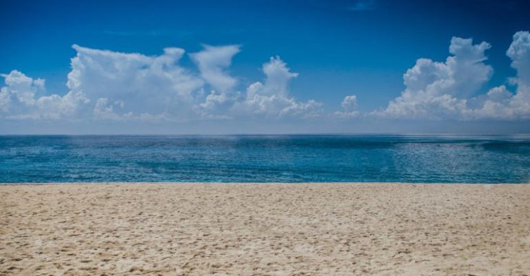 Beach - Ocean View during Daylight