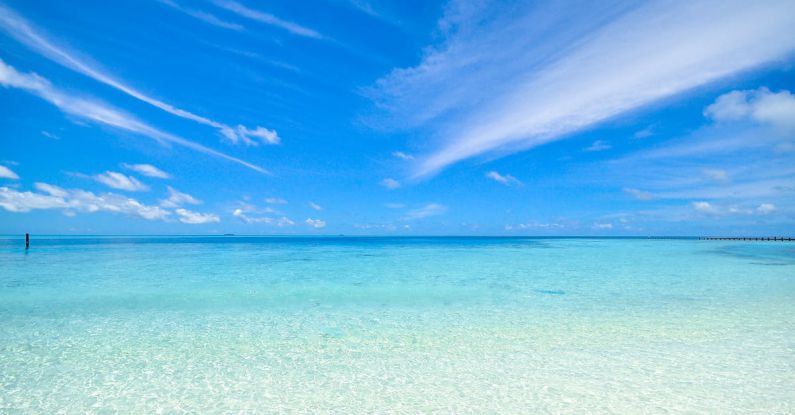 Beach - Clear Blue Shore